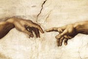Creation - hands