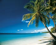 Beach morning Beach morning