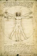 Leonardo Da Vinci - Anatomy