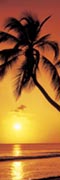 Beach - evening Beach - evening