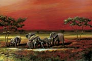 African style - elephants African style - elephants