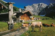 Tirol