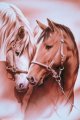 Horse - in Love