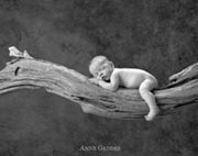 Anne Geddes - branch