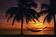 Hammock sunset