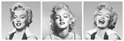 Marilyn Monroe triptych