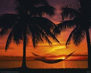 Hammock sunset Hammock sunset