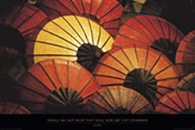 Parasols Parasols