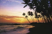 Beach at Night