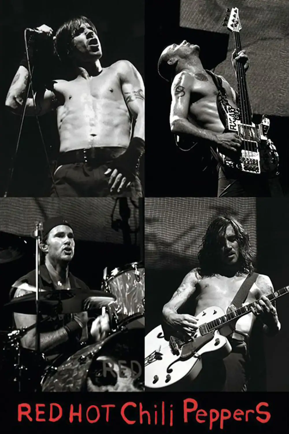 Red Hot Chili Peppers - plakat - Galeria Plakatu