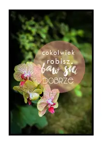 baw się dobrze storczyk - plakat