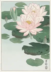 Ohara Koson Water Lily (1920 – 1930) - plakat