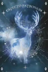 Harry Potter Expecto Patronum - plakat