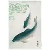 Ohara Koson Carp or Koi (1926) - plakat