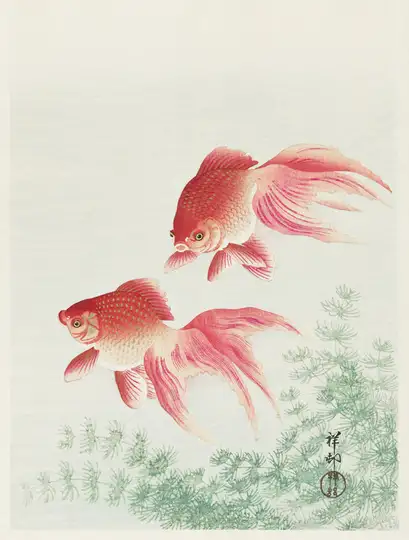 Ohara Koson Two veil goldfish (1926) - plakat