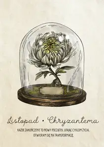 Plakat dla Urodzonych w Listopadzie Chryzantema - plakat