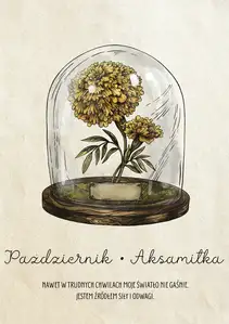 Plakat dla Urodzonych w Październiku Aksamitka - plakat