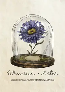 Plakat dla Urodzonych we Wrześniu Aster - plakat