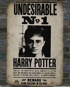 Harry Potter Poszukiwany - plakat
