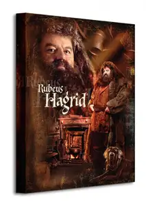 Harry Potter (Hagrid) - Obraz na płótnie