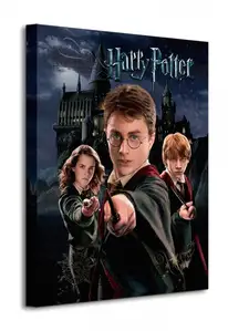 Harry Potter (Harry Ron Hermione) - Obraz na płótnie