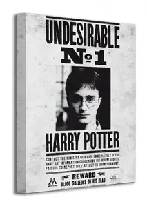 Harry Potter (Undesirable No.1) - Obraz na płótnie