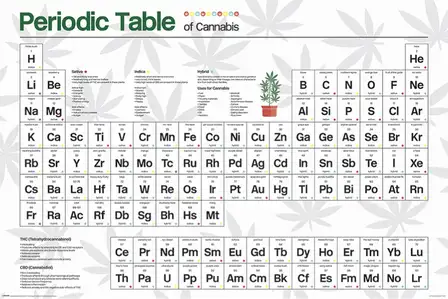 Układ Okresowy Marihuany - plakat