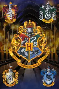 Harry Potter - plakat