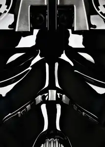 Face It! Gwiezdne Wojny - Pilot Trooper - plakat