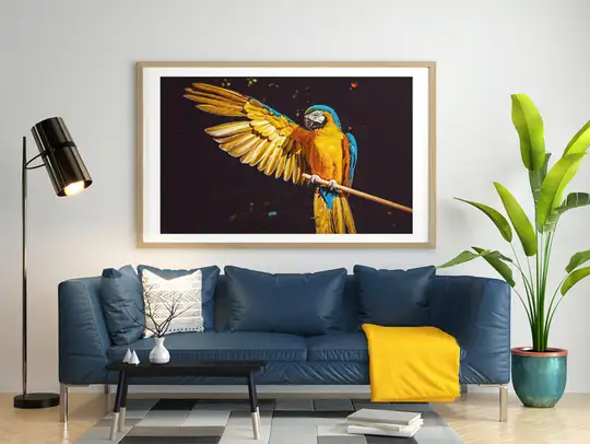 Ara - plakat