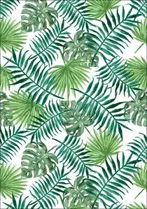 Liście tropikalne - plakat