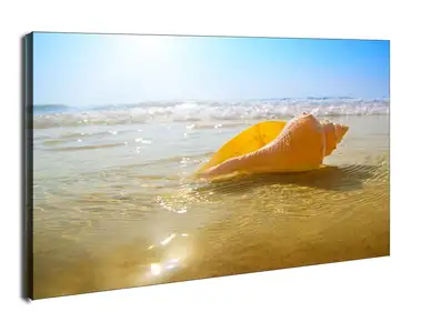 Muszelka na plaży, ocean - obraz na płótnie