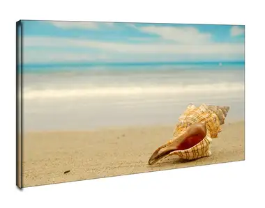 Muszla na plaży - obraz na płótnie