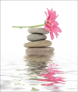 Spa. Kamienie zen i kwiaty - plakat