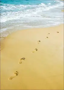 Walking. Ślady stóp na plaży  - plakat