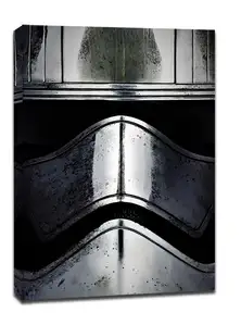 Face It! Star Wars Gwiezdne Wojny - Phasma - obraz na płótnie