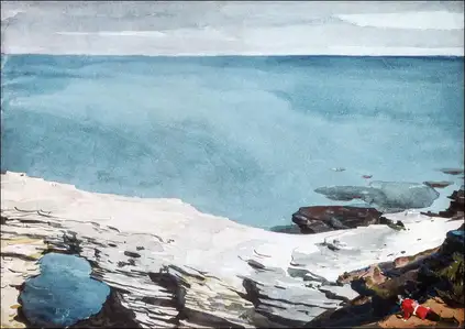Natural Bridge, Bermuda, Winslow Homer - plakat