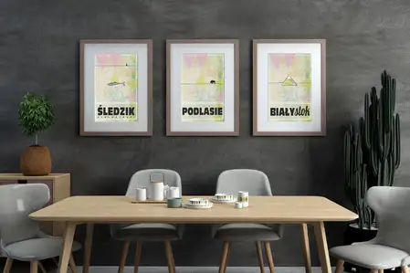 [Zestaw] Podlasie - plakat + Białystok - plakat + Białostocki śledzik - plakat