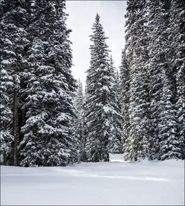 Copper Mountain - plakat