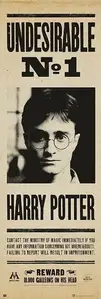 Harry Potter Poszukiwany - plakat