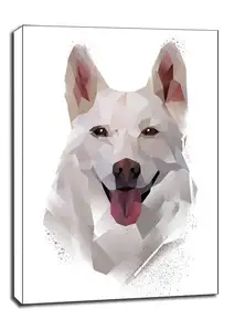 husky - obraz na płótnie