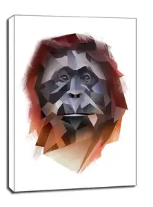 orangutan - obraz na płótnie