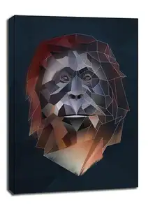 orangutan tło - obraz na płótnie