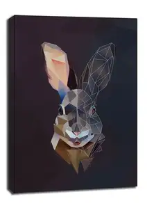 rabbit tło - obraz na płótnie