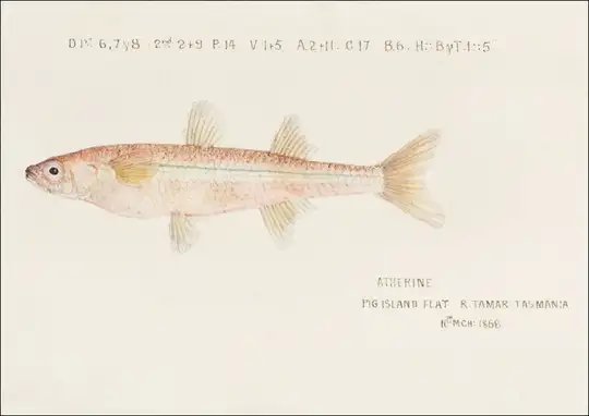 Antique fish athennidae, F. E. Clarke - plakat