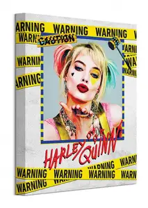 Birds Of Prey Harley Quinn Warning - obraz na płótnie