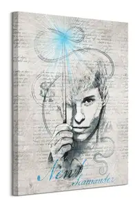 Fantastyczne zwierzęta: Zbrodnie Grindelwalda Newt Scamander - obraz na płótnie