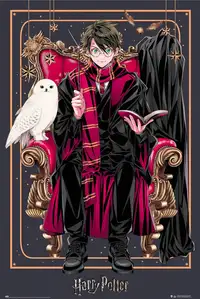 Harry Potter Wizard Dynasty Harry - plakat