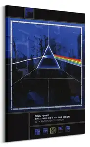 Pink Floyd Dark Side Of The Moon 30th Anniversary - obraz na płótnie