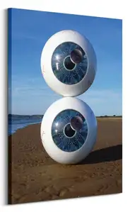 Pink Floyd Pulse - obraz na płótnie